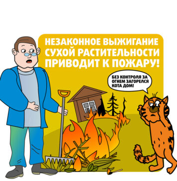 С начала года в Петриковском районе зафиксировано 72 пожара в природных экосистемах