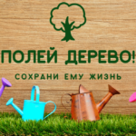 В Петриковском районе с 10 августа стартует акция «Полей дерево — сохрани ему жизнь»