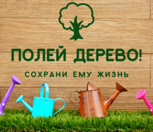 ПОЛЕЙ-ДЕРЕВО-768x768