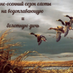 Открытие летне-осеннего сезона охоты на водоплавающую дичь