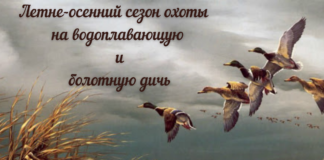 Открытие летне-осеннего сезона охоты на водоплавающую дичь