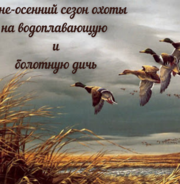 Открытие летне-осеннего сезона охоты на водоплавающую дичь