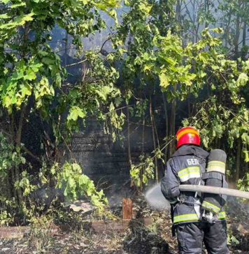 В Гомельской области из-за детской шалости произошло 12 пожаров с начала 2026 года
