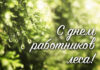 Паважаныя работнікі і ветэраны лясной галіны Петрыкаўшчыны!