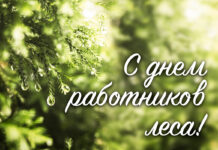 Паважаныя работнікі і ветэраны лясной галіны Петрыкаўшчыны!