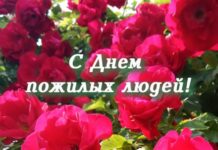 Паважаныя прадстаўнікі старэйшага пакалення, дарагія ветэраны!