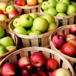 Что приготовить из яблок на зиму: 8 проверенных рецептов