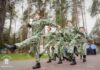 Петриковский район на областном слёте юных друзей милиции