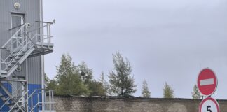 “Бярозавы гай” на даху