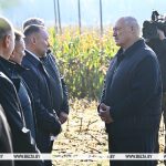 Лукашенко ознакомится с экспериментом по повышению плодородия почв