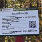 Получить помощь, заказать дрова и узнать о рубках: в белорусских лесах устанавливают спецзнаки
