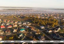Можно ли самостоятельно перенести границу земельного участка, рассказали в Госкомимуществе