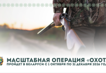 Специальное комплексное мероприятие «Охота»