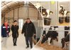 Стаўка на тэхналогію і дысцыпліну