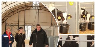 Стаўка на тэхналогію і дысцыпліну
