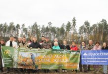 На Петрыкаўшчыне працягваецца рэспубліканская акцыя “Дай лесу новае жыццё”