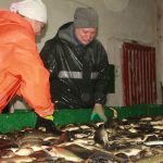 Перспектывы, прадыктаваныя часам