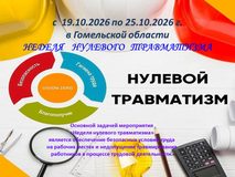 Неделя нулевого травматизма в Гомельской области: с 19 по 25 октября 2026 года