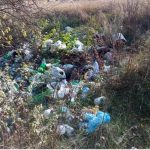 Сметнік замест лесу
